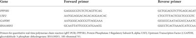 Decorin–induced, preeclampsia-associated microRNA-512-3p restrains extravillous trophoblast functions by targeting USF2/PPP3R1 axis